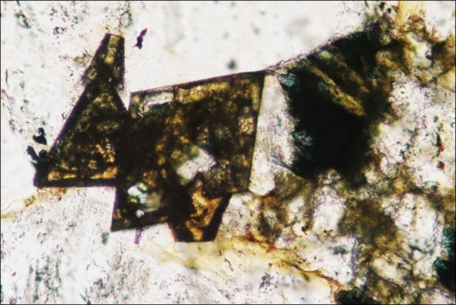 Pyrochlore in albite. Ppl. (x-axis: 0.45mm) - Quest Rare Minerals Ltd.